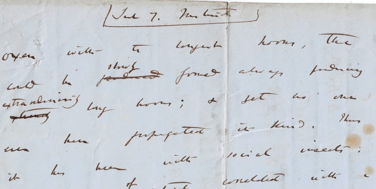 Mostantól ön is megnézheti Charles Darwin kéziratát, ami megváltoztatta a világot