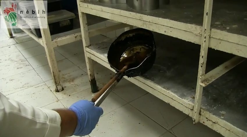 Egérürülék a cukrászatban: máshogy nézhet a krémesre ezután – videó