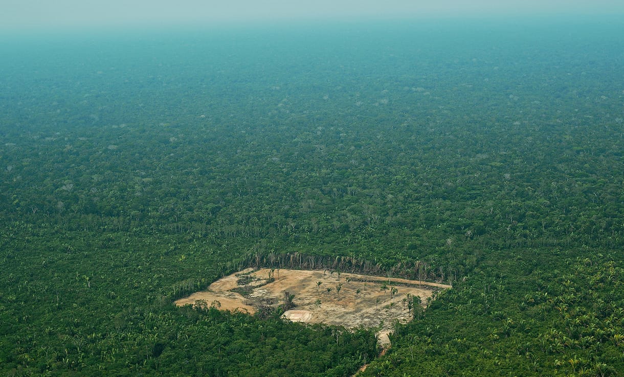 Aprócska, de nagyszerű hír jött a lángoló Amazonasból