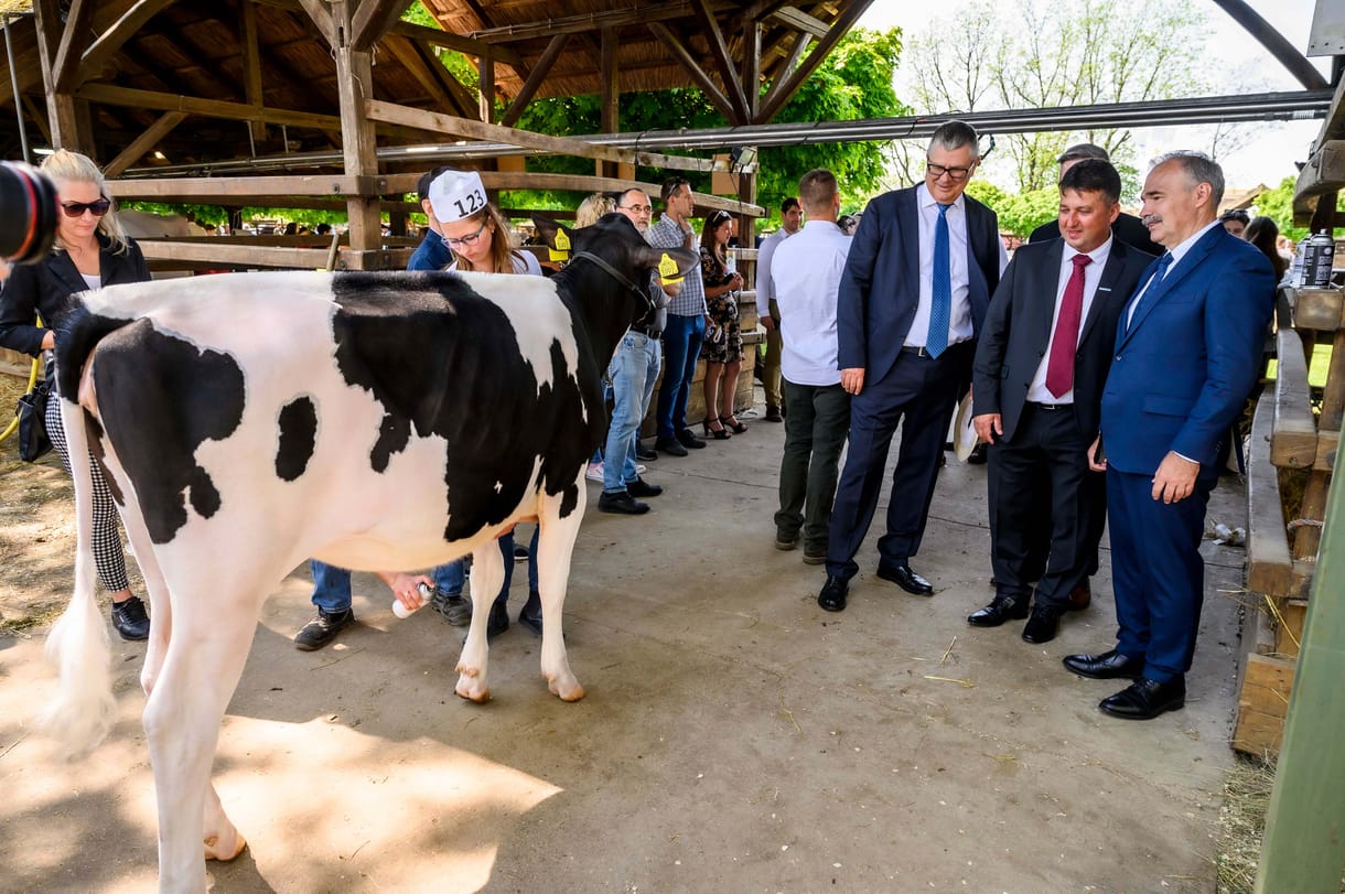 Civilek azt szeretnék, ha az állattartás semmiféle támogatást nem kapna az Uniótól