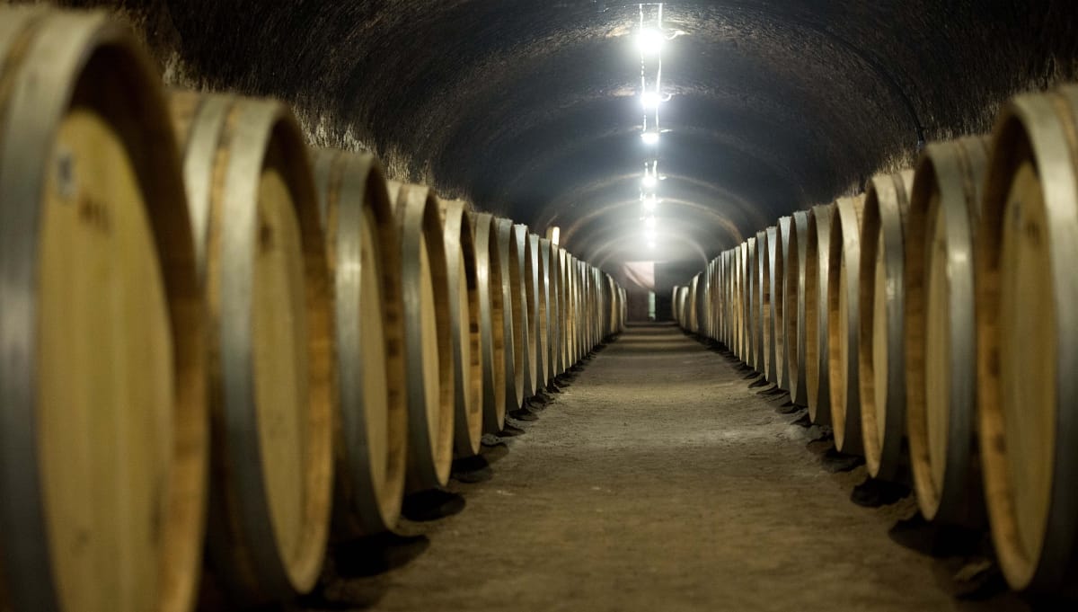 Elsőre megbukott az állami Tokaj Kereskedőház aszúja