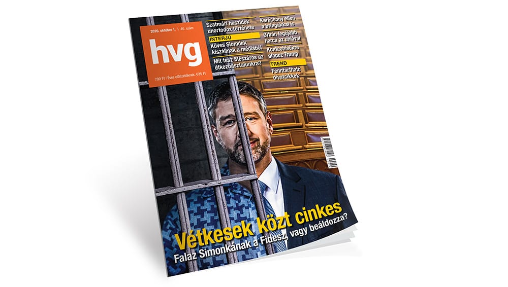 Hamvay Péter: A küzdés maga