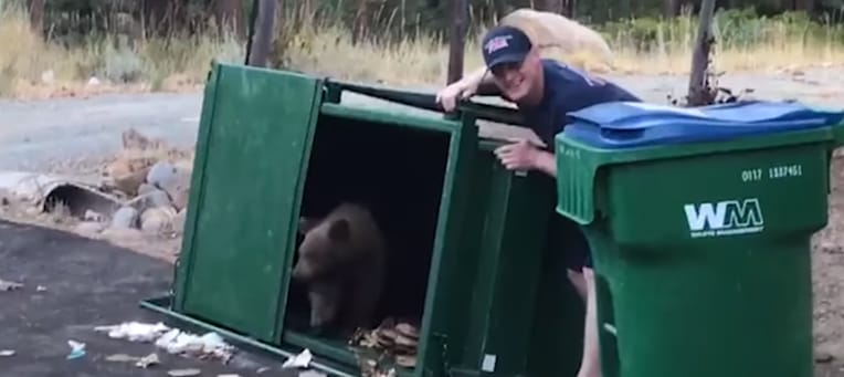 Ha bármikor medvebocsokat találna a kukában, így szabadítsa ki őket - videó