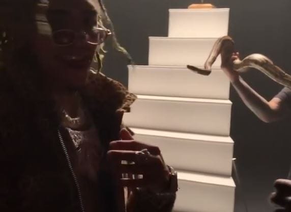 Nem tetszett a kígyónak a klipforgatás: belemart a rapper kezébe (videó)