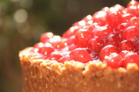 A hét receptje: sajttorta trükkösen