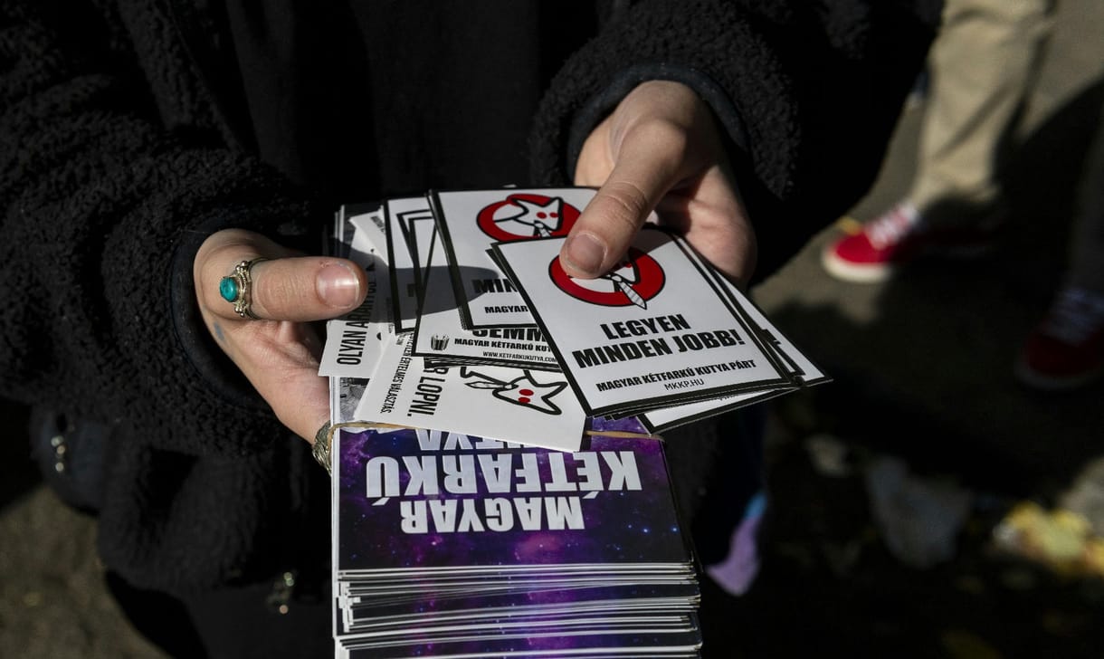 Elvesztette egyetlen képviselőjét a Kutyapárt Pécsen