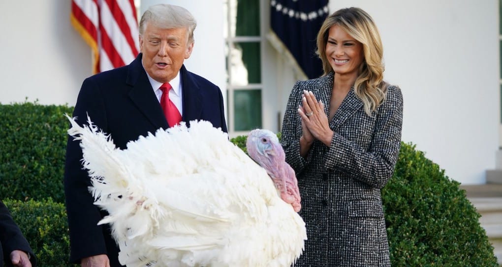 Donald Trump utoljára kegyelmezett meg két pulykának