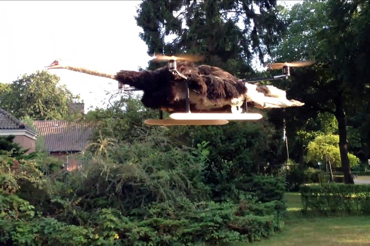 Videó: döglött struccból csinált helikoptert egy holland művész