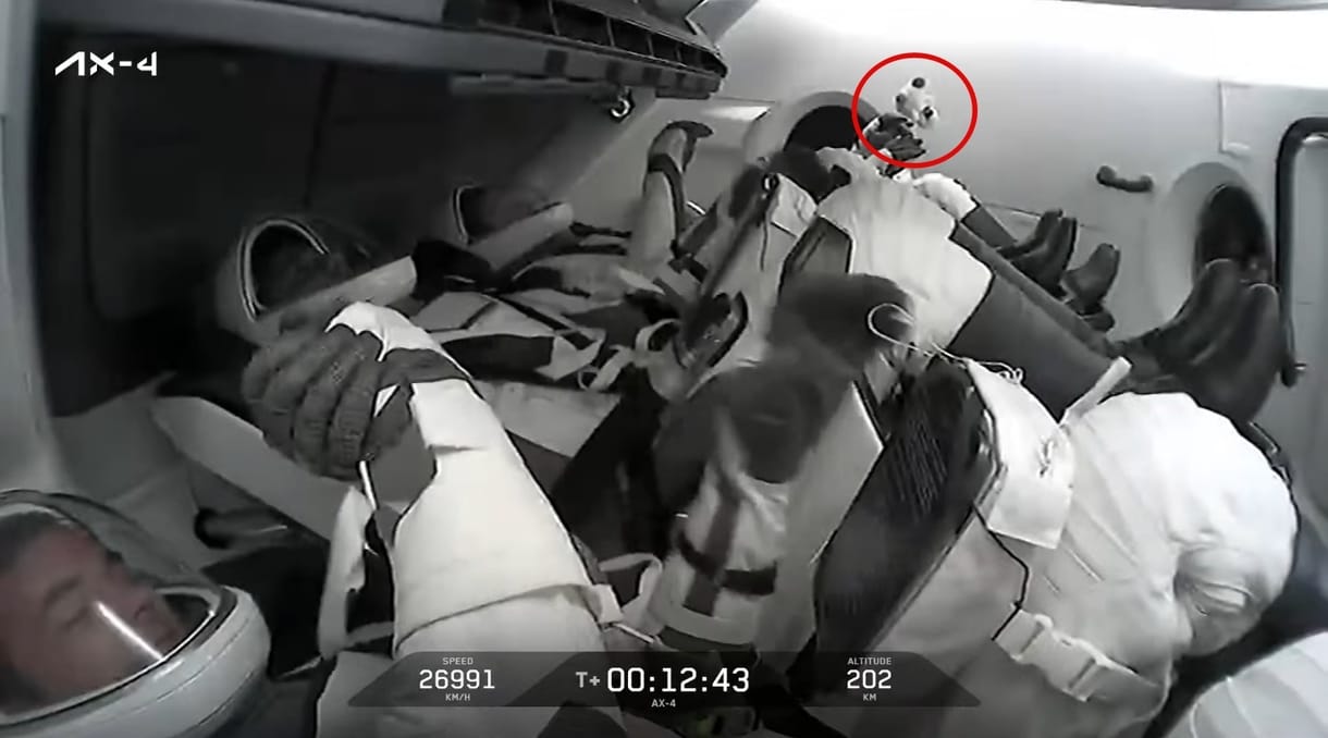 Belebegett az élő közvetítésbe a plüsshattyú, amit az űrbe vittek magukkal Kapu Tiborék