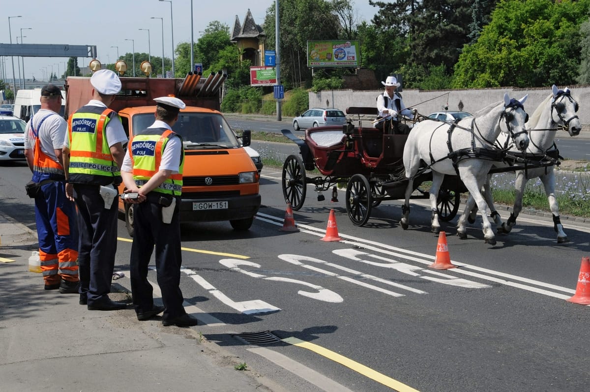 VEKE: a dugót az autók okozzák, nem a buszsávok