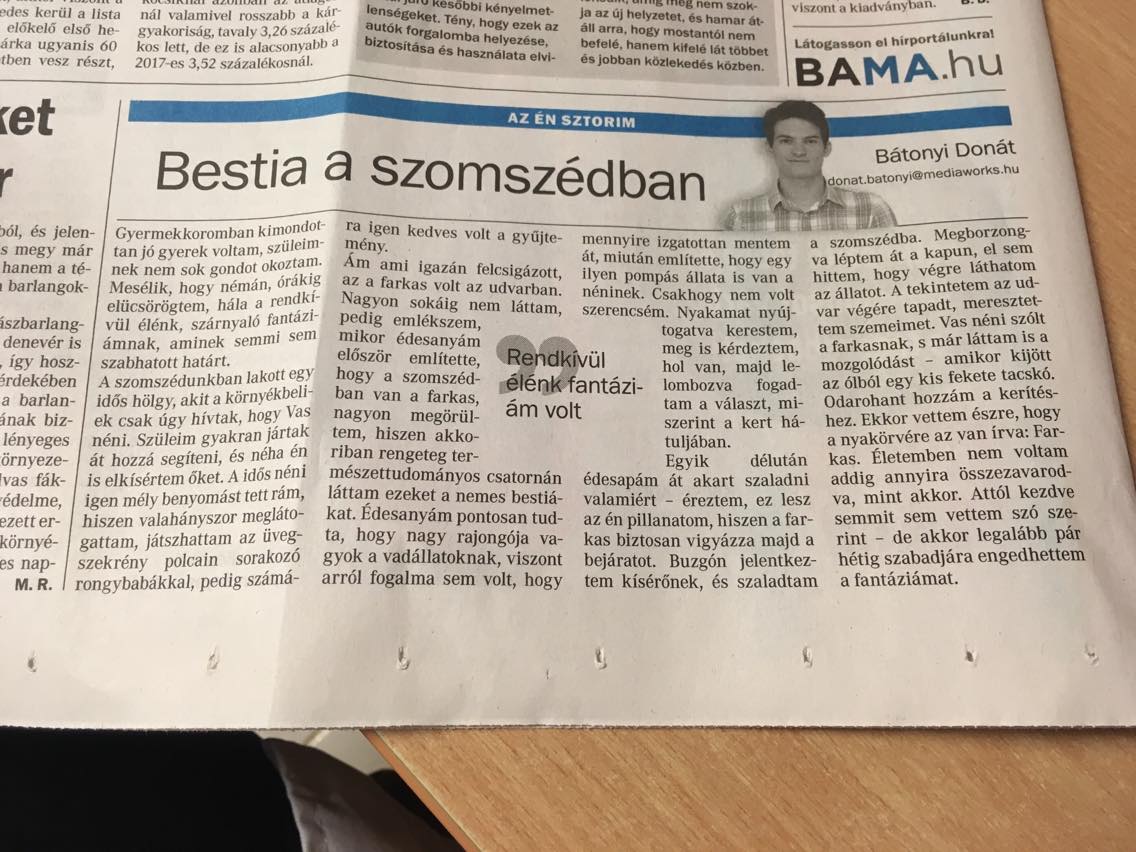 Kirúgták a kormánymédia plagizáló újságíróját