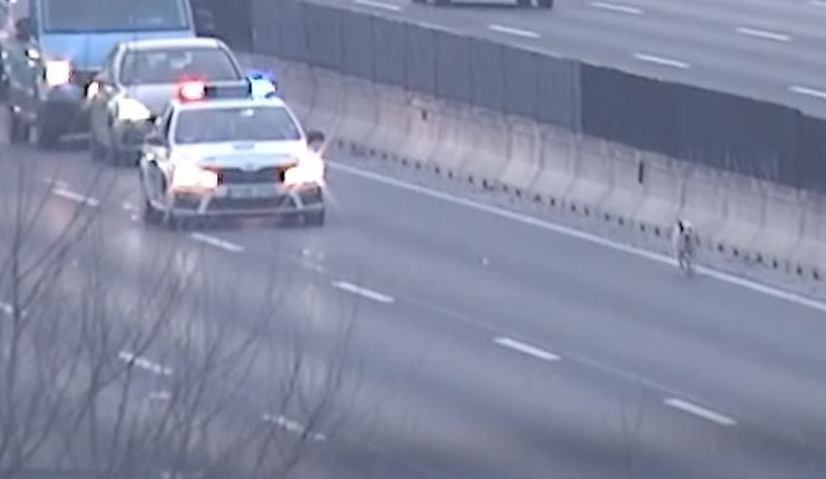 Két kutya is felfordulást okozott az M0-son - videó