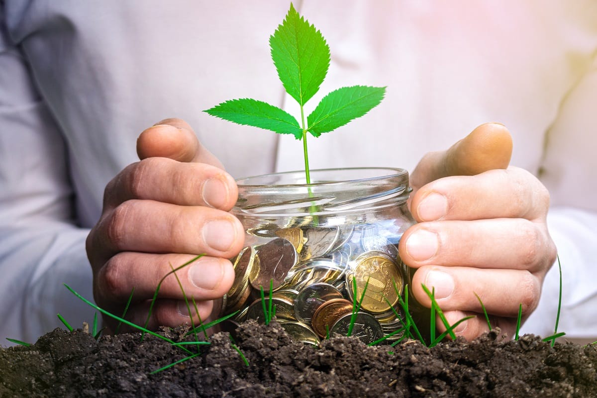 Eljött a zöld befektetések ideje: de mik is azok az ESG-alapok?