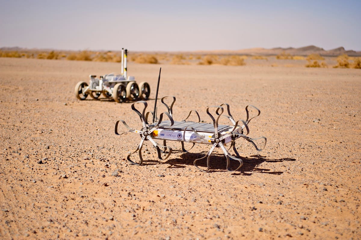 Hazaugat a Holdról a robotkutyánk