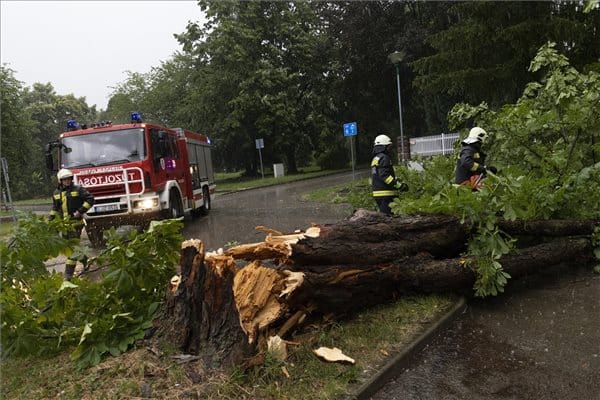 Pusztított a vihar: több mint ezer helyen okozott károkat 
