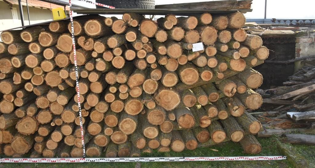 Rendszám nélküli kocsival járt fát lopni egy vezetéstől eltiltott férfi