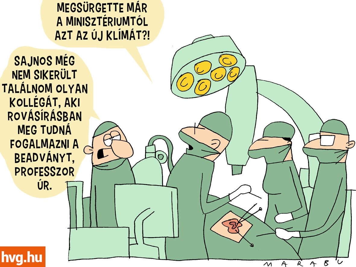 Marabu FékNyúz: Egy magyar kórház