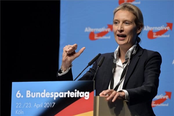 Az AfD társelnöke belengette a népszavazást Németország uniós tagságának megszüntetéséről