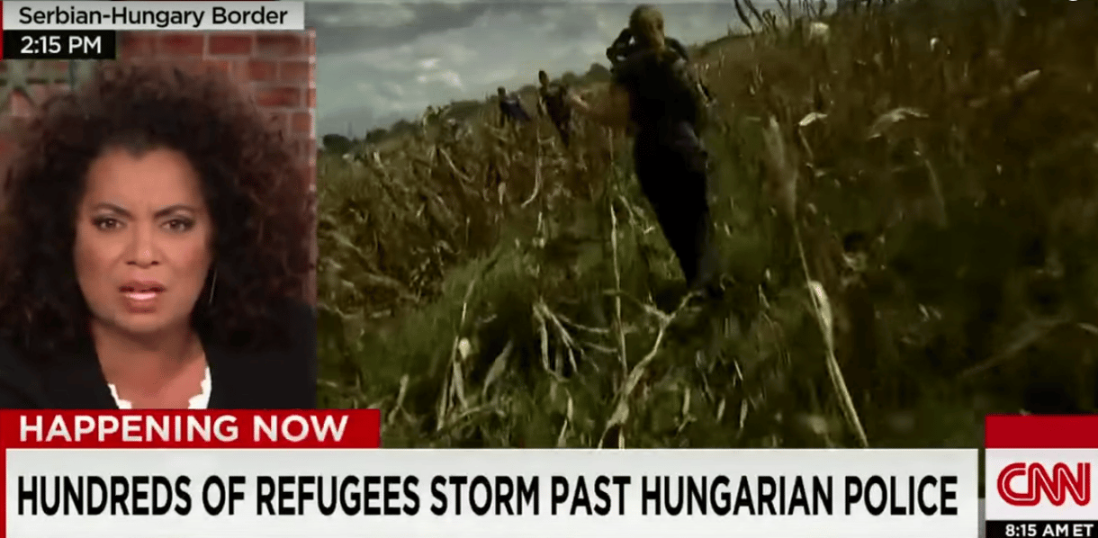 Eltévedt a CNN riportere a röszkei kukoricásban