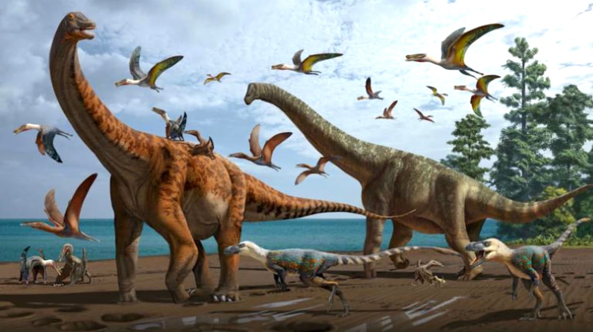 20 méteresre is megnőttek azok a dinoszauruszok, melyek létezésére csak most derült fény