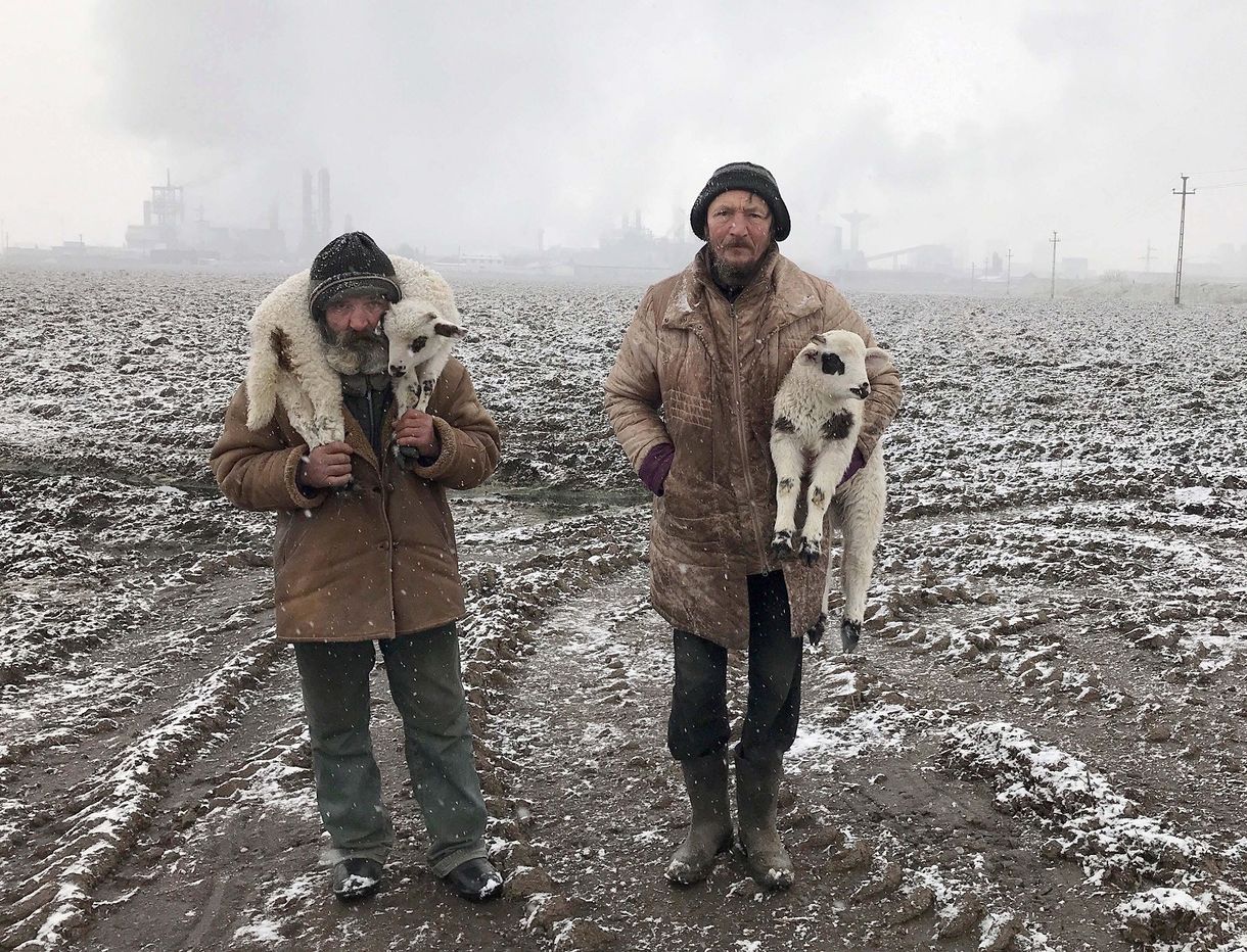 Magyar fotós fényképe lett a 2021-es iPhone Photography Awards győztese