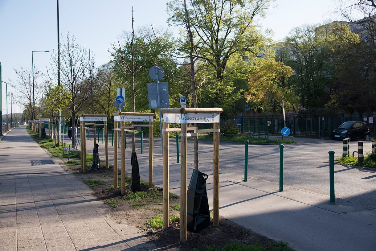 Kinevezték a Főkert új főigazgatóját