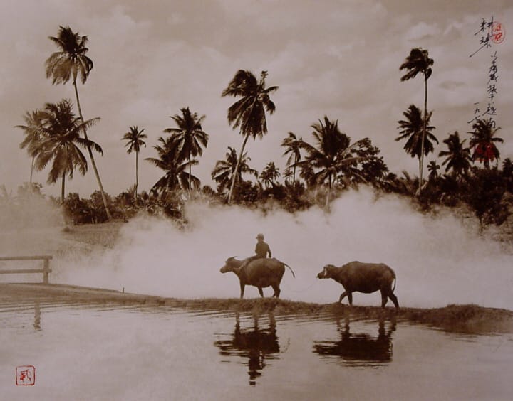Don Hong-Oai fotórealista tintarajzai