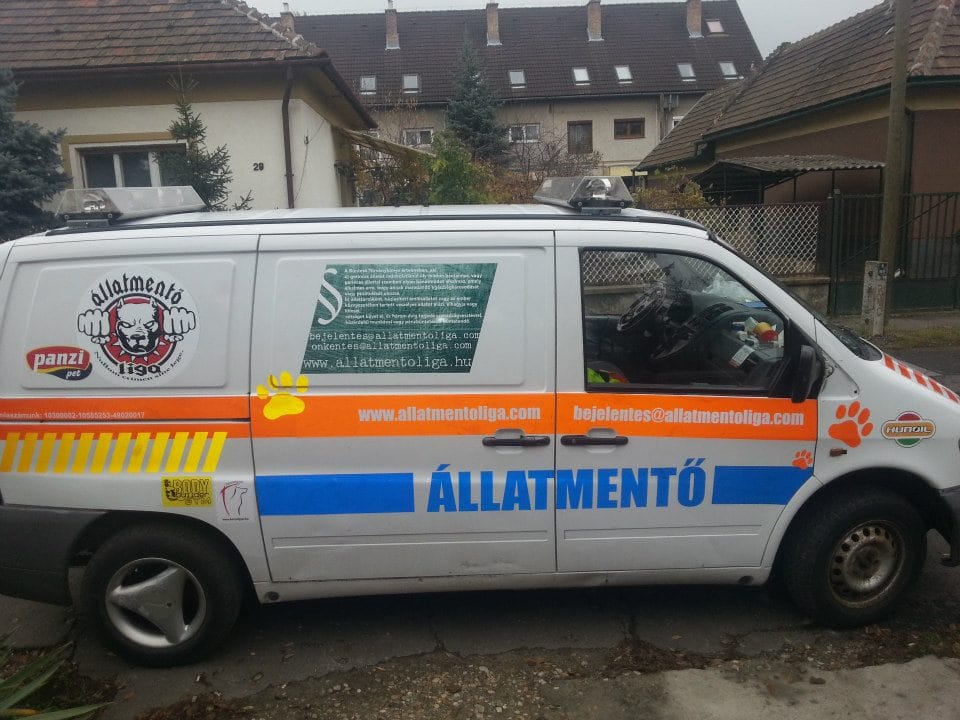 Hiába kérték a BKK-tól: állatmentők vészhelyzetben sem mehetnek a buszsávban