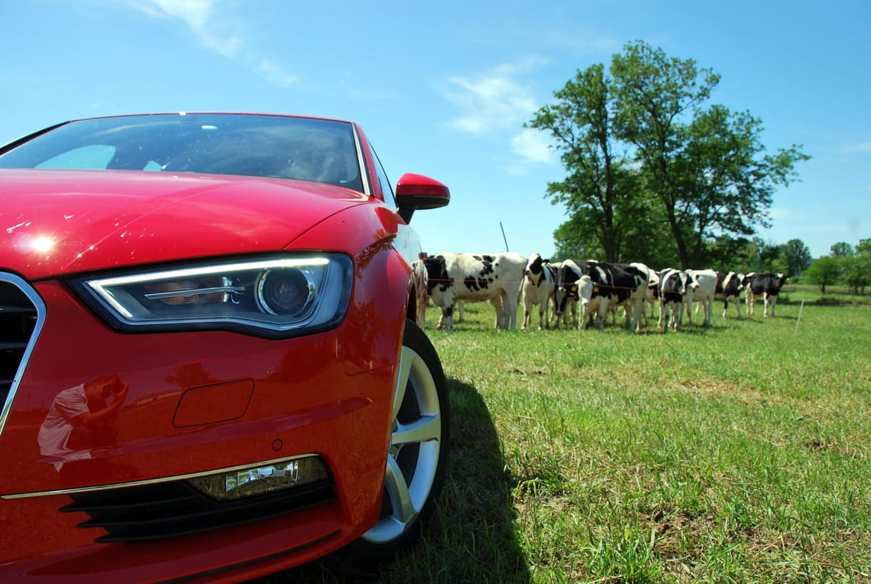 Betyár lett a magyar Audi – vezettük