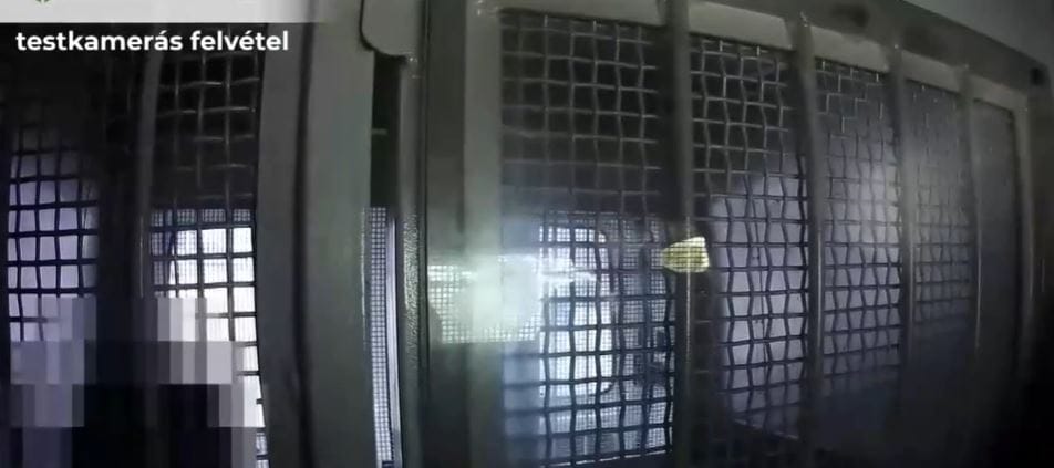 Felvette a rabszállítóban egy kamera, hogy rendőrökre támadt egy elítélt