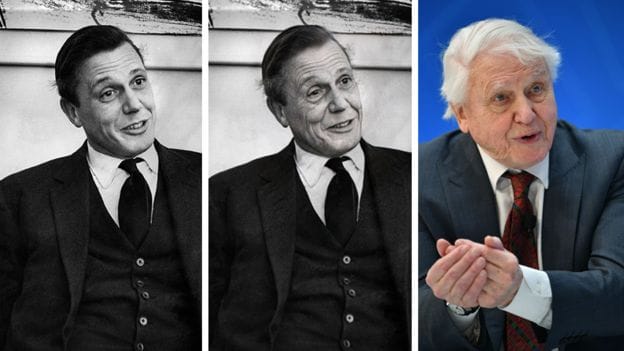 Fotók Attenborough-tól Schwarzeneggerig: mennyire pontosan öregít a FaceApp?