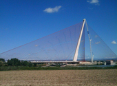 A British worker infected with influenza died while trying to climb a 192-metre-high bridge