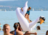 Vészesen felgyorsult a Balaton vizének melegedése