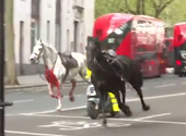 Elszabadult lovak okoztak kaotikus perceket London belvárosában – videók