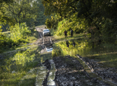 In the Danube's tidal wave, even the roaring elk put aside their contradictions - report on wildlife rescue in Geminik