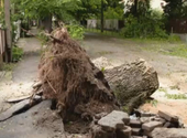 Durva károkat okozott a hétvégi jégeső, Debrecenben fákat csavart ki a vihar – videó