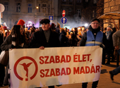 Abszurd színjáték a Kolibri ügyében: a minisztérium azzal vádolta a gyerekszínházat, hogy Brüsszelnek dolgozik – videó