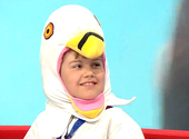 Sirályhangutánzó-versenyt tartottak Belgiumban, és egy 9 éves gyerek visított a legjobban