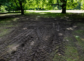 This is what remained after the peace march on Margaret Island - pictures