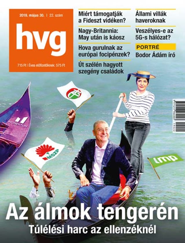 2019 22. lapszám