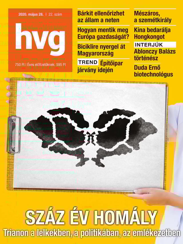2020 22. lapszám
