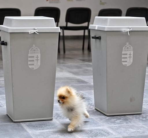A Zugligeti Általános Iskola szavazóhelyisége