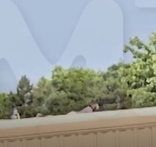 Videón, ahogy a tetőn lapul a Trumpra tüzet nyitó merénylő