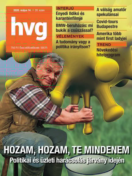 2020 20. lapszám