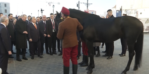 Lázár következő nagy projektje: kancát keres Erdogan lovának