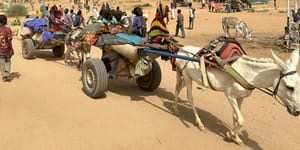 Afrika éléskamrája lehetne, de példátlan humanitárius katasztrófába süllyedt Szudán