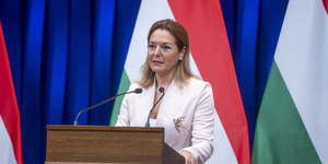 Kormányszóvivő: Van, aki folyamatosan sír és picsog az önkormányzati vezetők közül