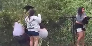 Videón, ahogy turisták lerángatnak a fáról két medvebocsot, hogy szelfizni tudjanak velük