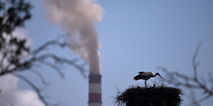 A koszovói vállalkozók lezárták a Pristinába vezető utakat, mert nem kapnak többé államilag támogatott energiát
