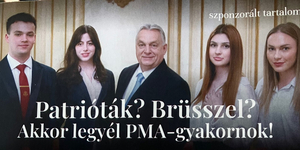 Nettó 450 ezer forintért hirdetett gyakornoki programot a Fidesz pártalapítványa